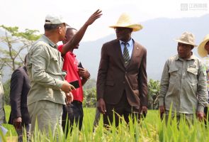 赤道幾內(nèi)亞農(nóng)業(yè)、畜牧、森林和環(huán)境部部長阿卡波到示范農(nóng)場慰問