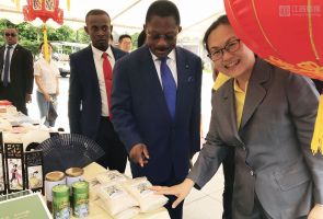 援赤道幾內(nèi)亞示范農(nóng)場項目組參與“非洲日”義賣活動