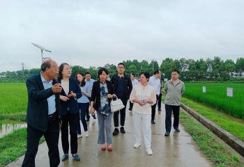 商務(wù)部國際經(jīng)濟(jì)合作事務(wù)局和農(nóng)業(yè)農(nóng)村部外經(jīng)中心 調(diào)研組一行到公司視察調(diào)研